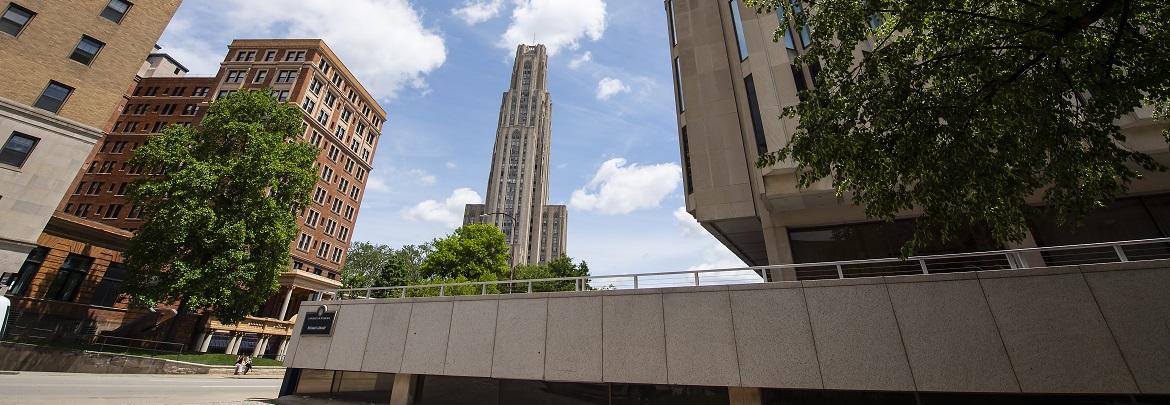 On campus near the Cathedral of Learning