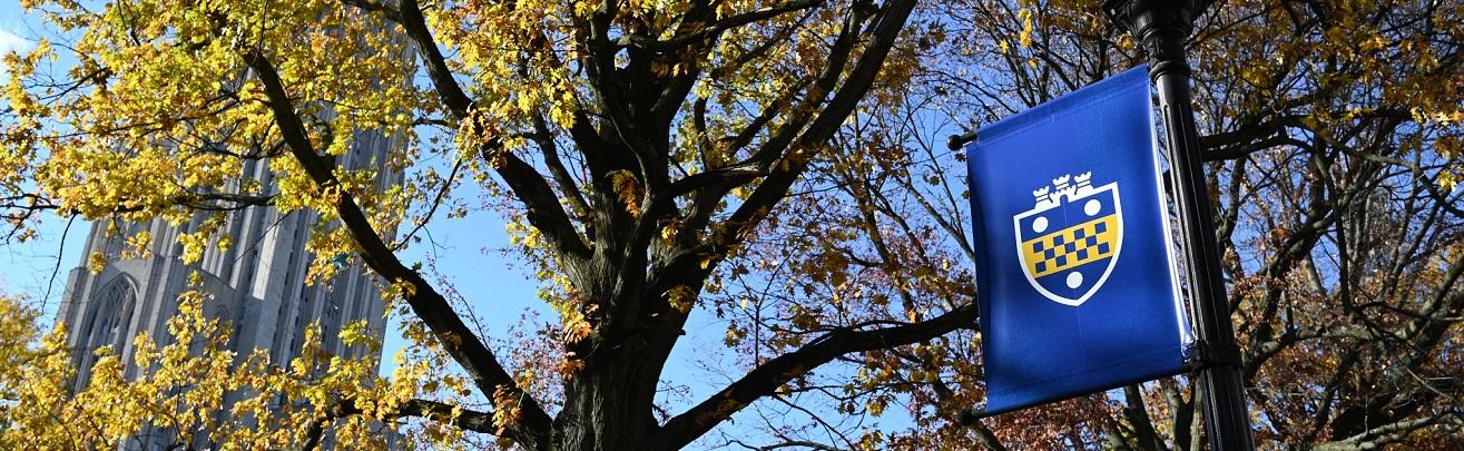 A Pitt flag with an autumn background