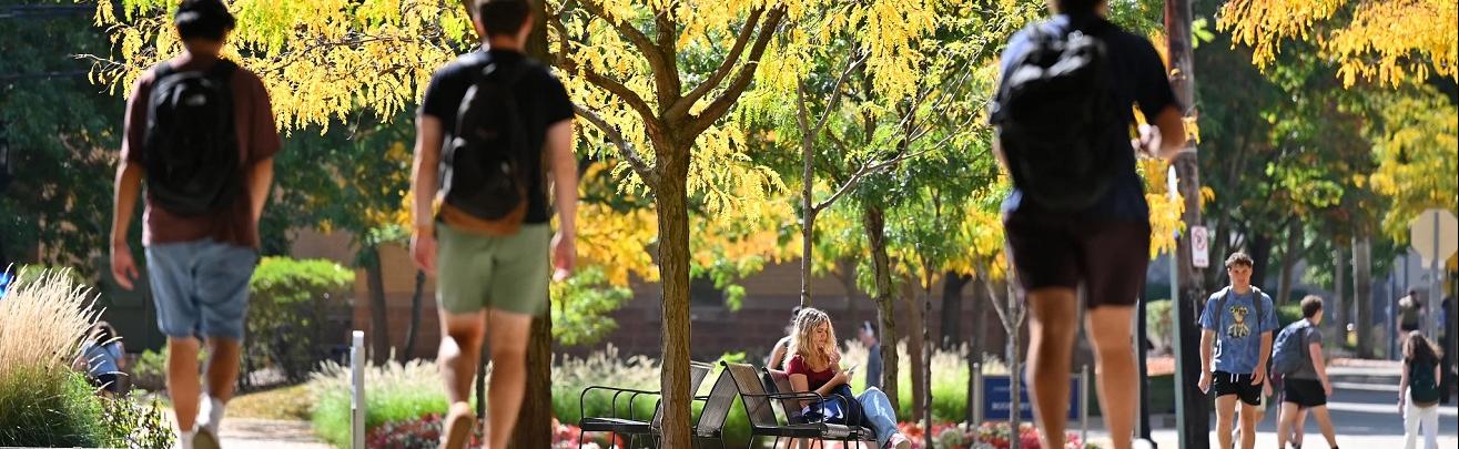 Students walking across campus